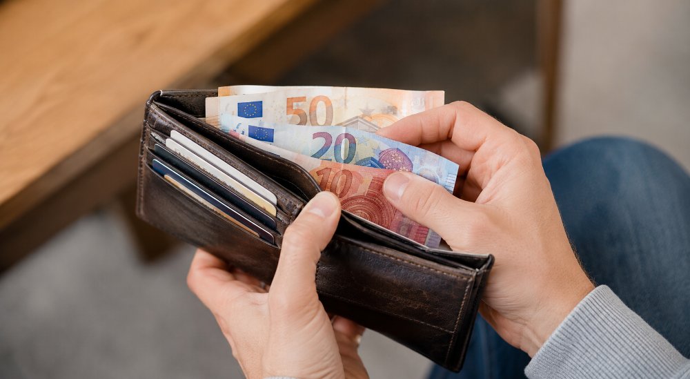 Přijetí eura by změnilo české peněženky i rozpočty domácností